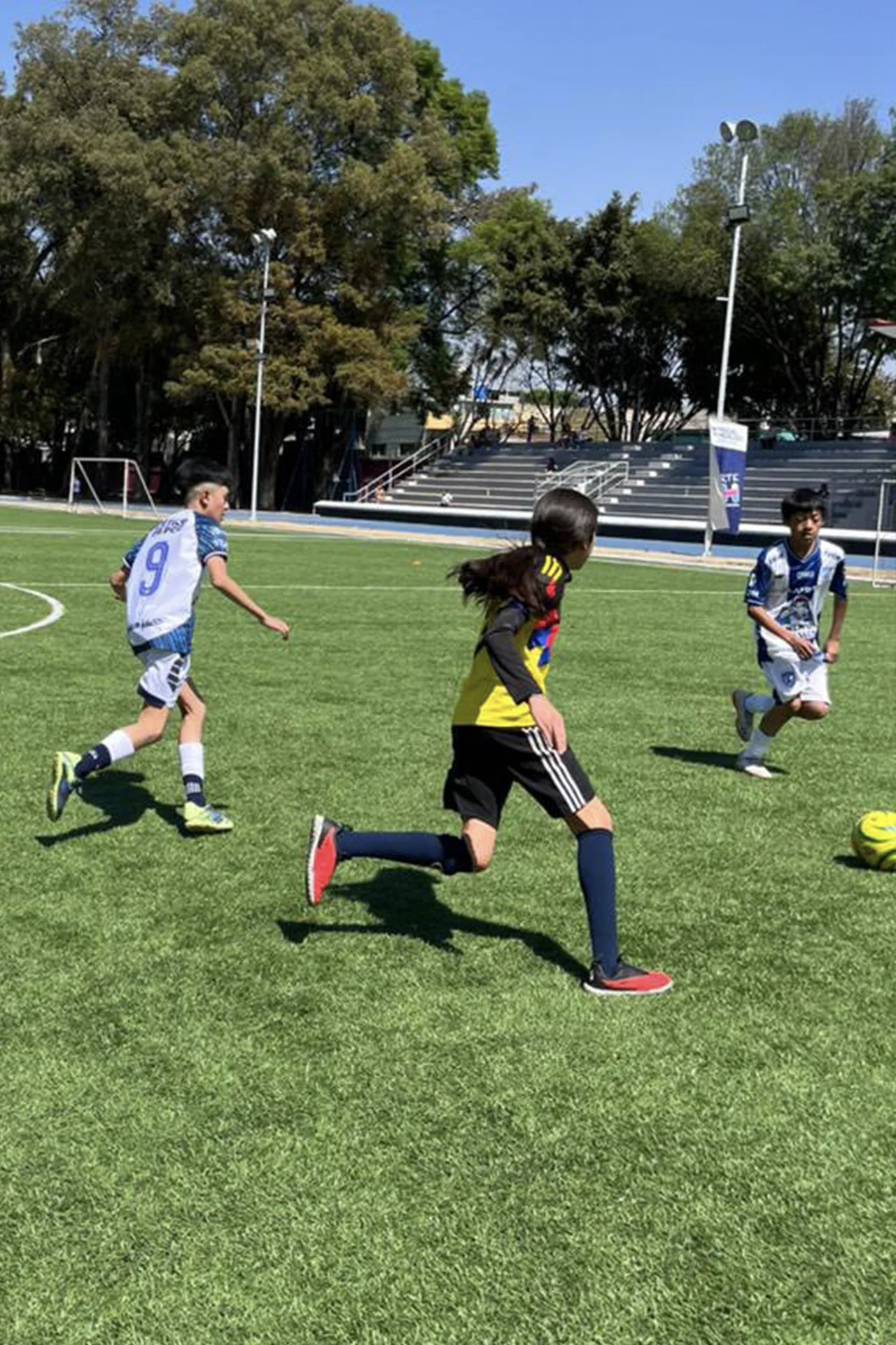 ETAPAS DEL DESARROLLO