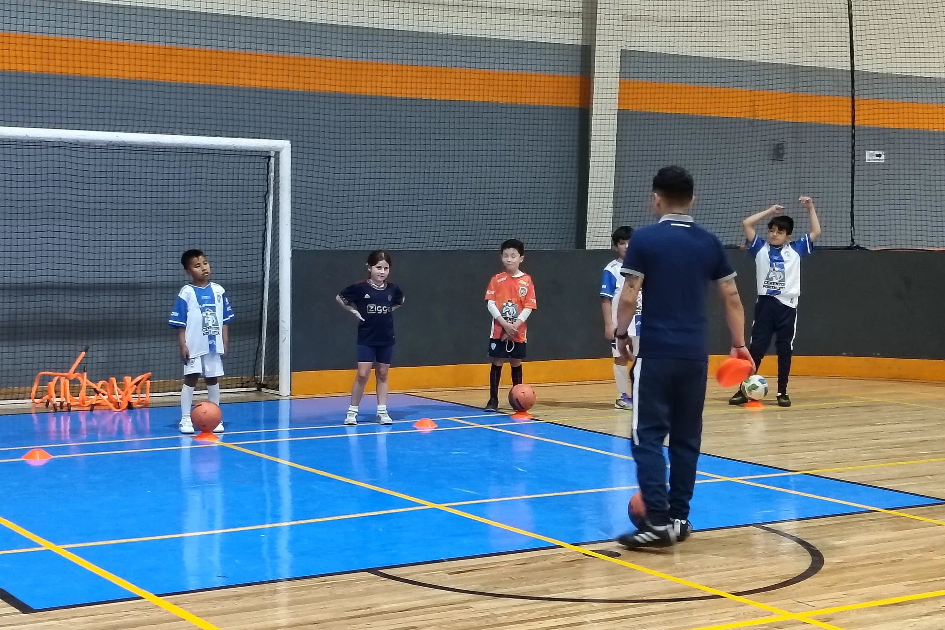 Estructura organizada