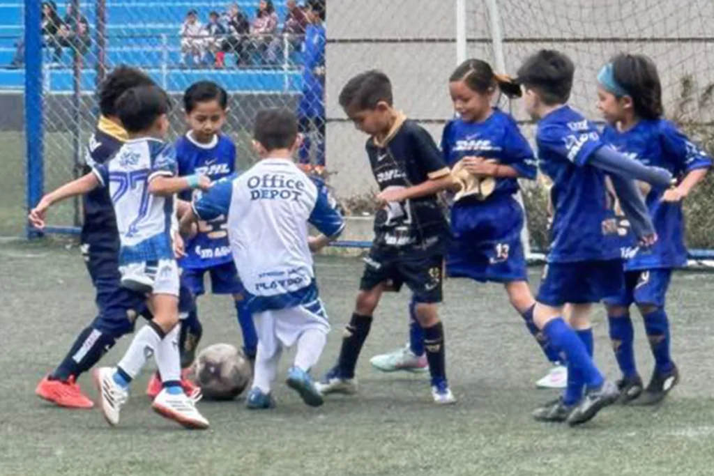 Fundamentos Sólidos