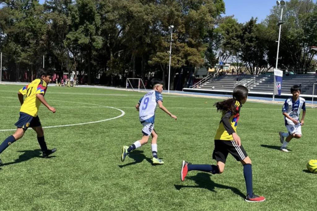 Optimización del Rendimiento